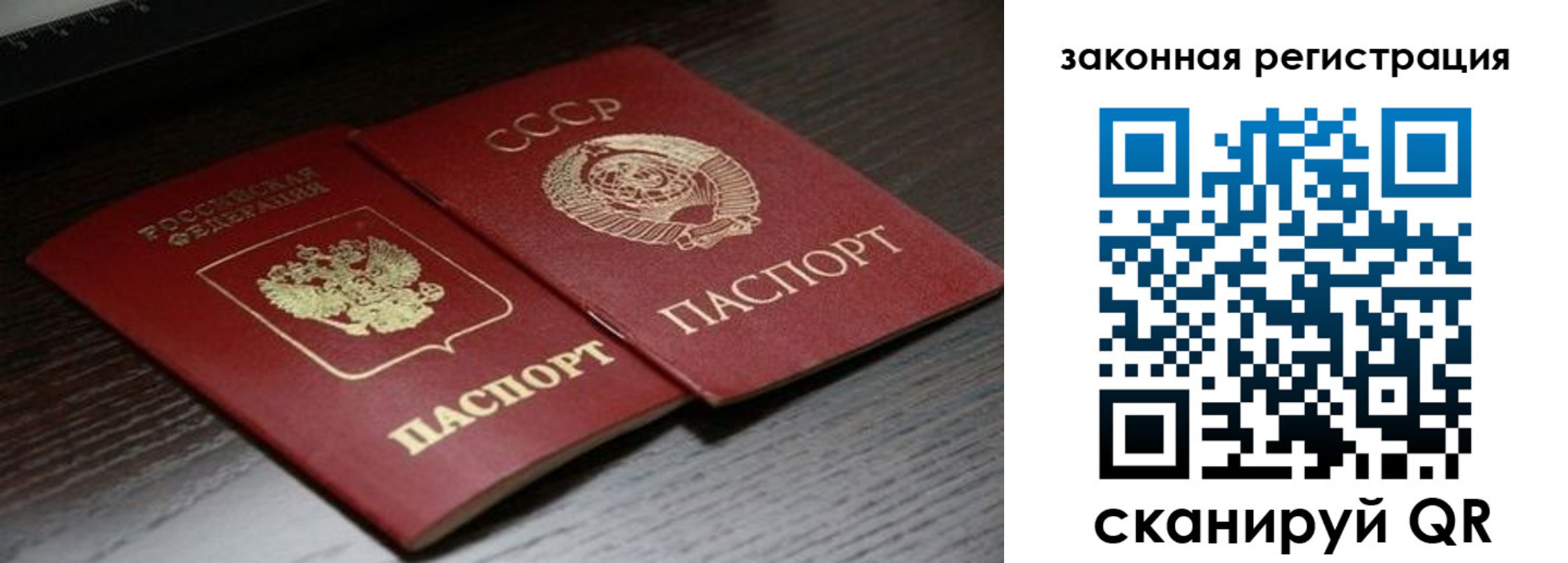 прописка поиск в Липецкая области